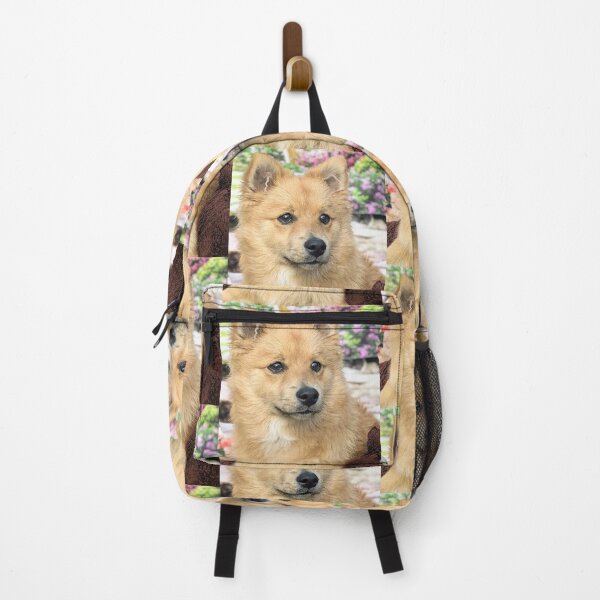 Item preview, Kai the Pomeranian puppy designed and sold by Fluffycat2020.