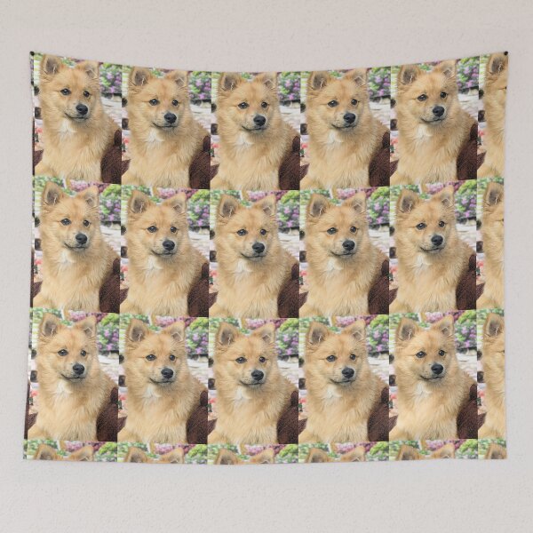 Item preview, Kai the Pomeranian puppy designed and sold by Fluffycat2020.