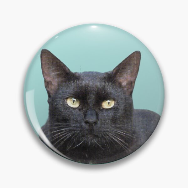 Item preview, Cute Black Cat Funny Black Cat Lovers designed and sold by alaechamlal.