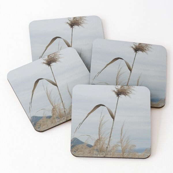 Item preview, Reed forest on the sea coast  in Boseong, Jeollanam-do. korea designed and sold by human8891.