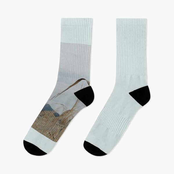 Item preview, Reed forest on the sea coast in Boseong, Jeollanam-do. korea designed and sold by human8891.