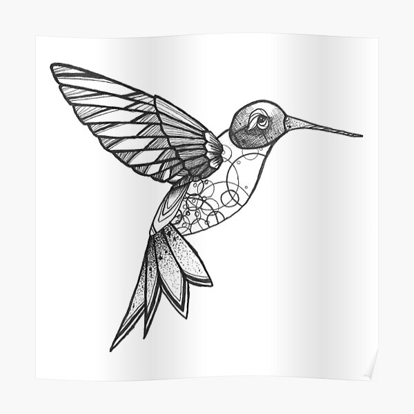 Premium Vector  Sketch for tattoohummingbird drawing hummingbird vector  sketch
