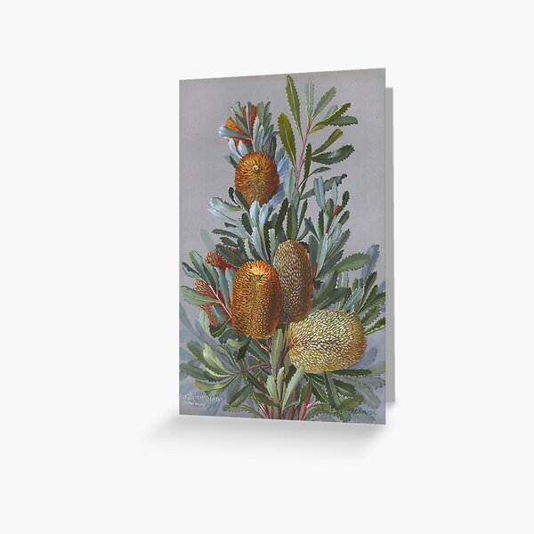 Item preview, Banksia Australian Wildflower Watercolor designed and sold by karwilbedesigns.