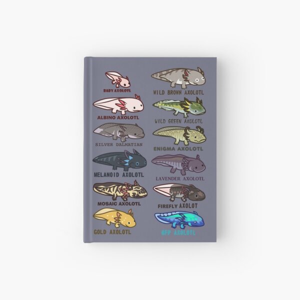 Axolotl-Morphs und -Farben Notizbuch