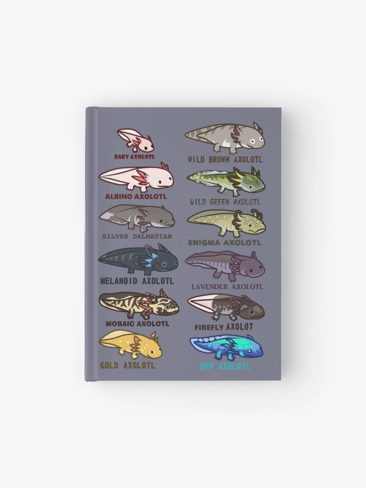 axolotl morphs and colors Journal by IMPULSEimpact