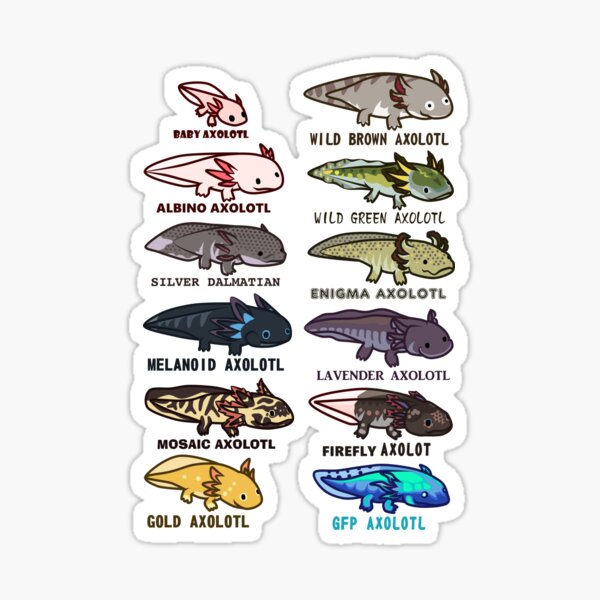 Morphs Stickers for Sale