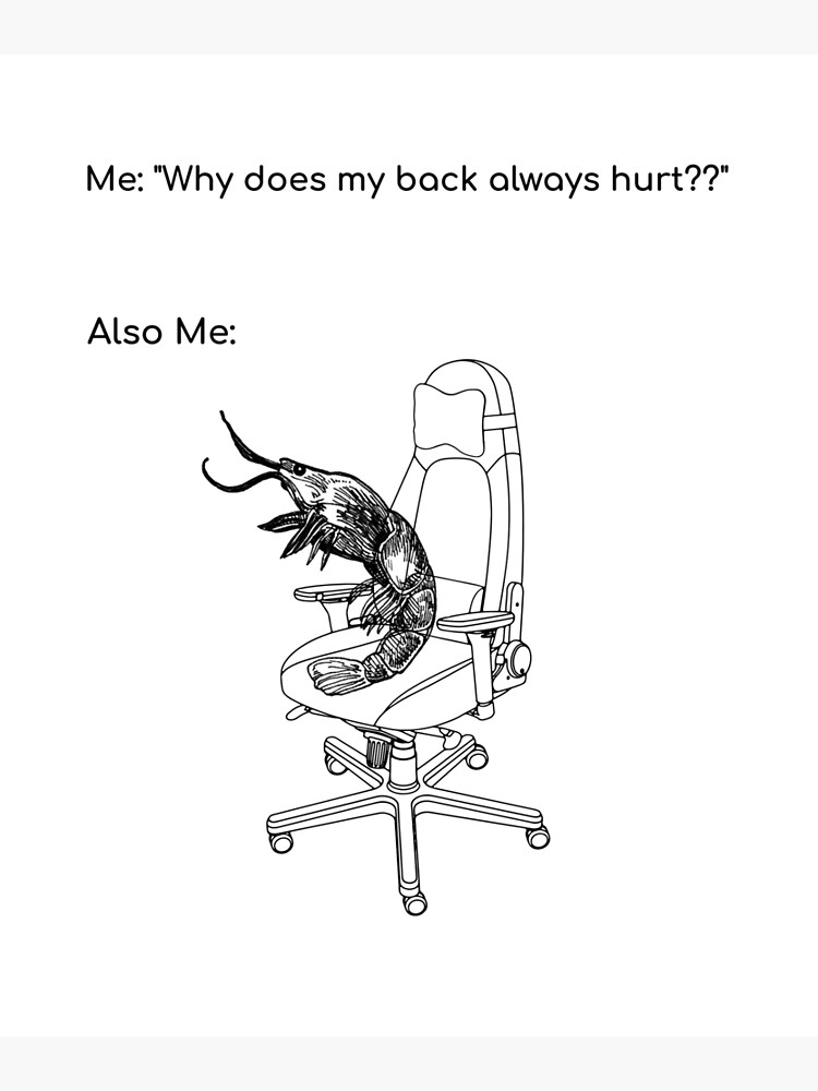 Back pain meme" Poster for Sale by Tyler1993 | Redbubble
