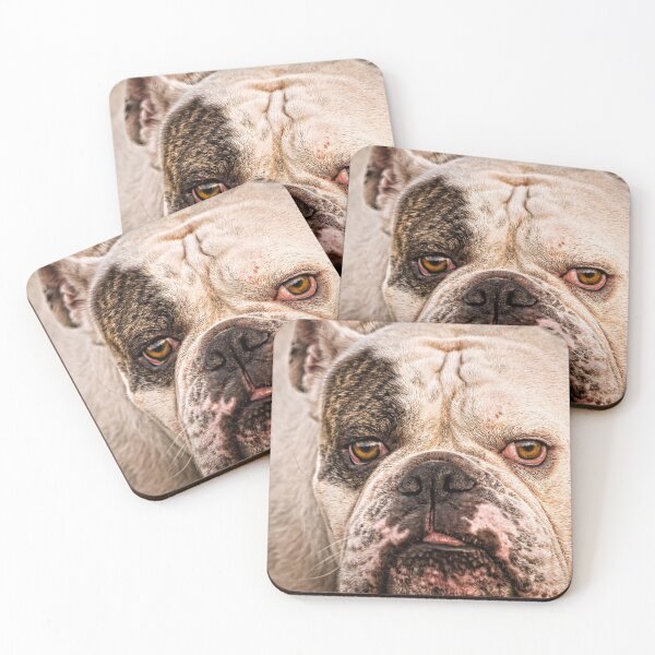 Item preview, Bulldog Face - Grumpy Dog designed and sold by John Dewar.