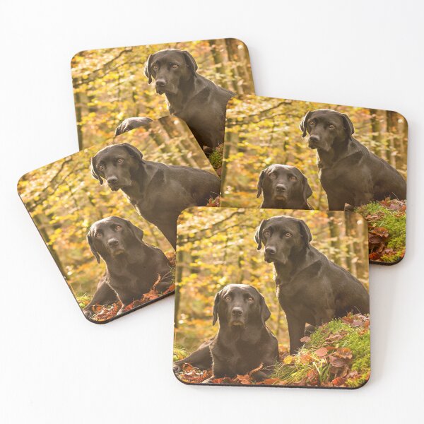 Item preview, Black Labradors designed and sold by John Dewar.