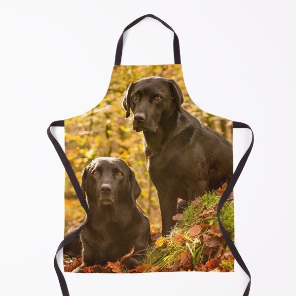 Item preview, Black Labradors designed and sold by John Dewar.