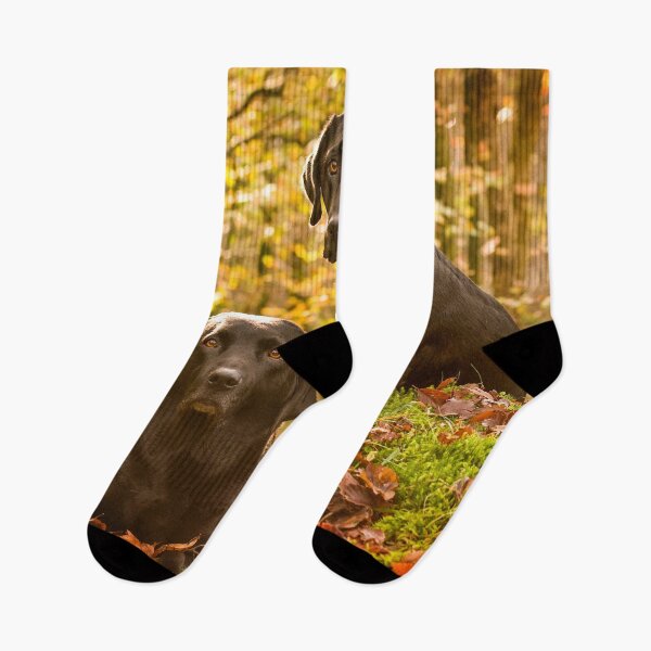 Item preview, Black Labradors designed and sold by John Dewar.