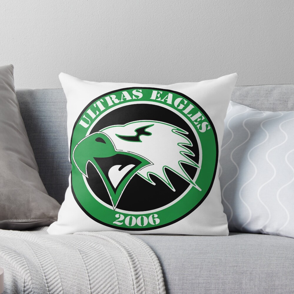 Philadelphia Eagles pillow cover