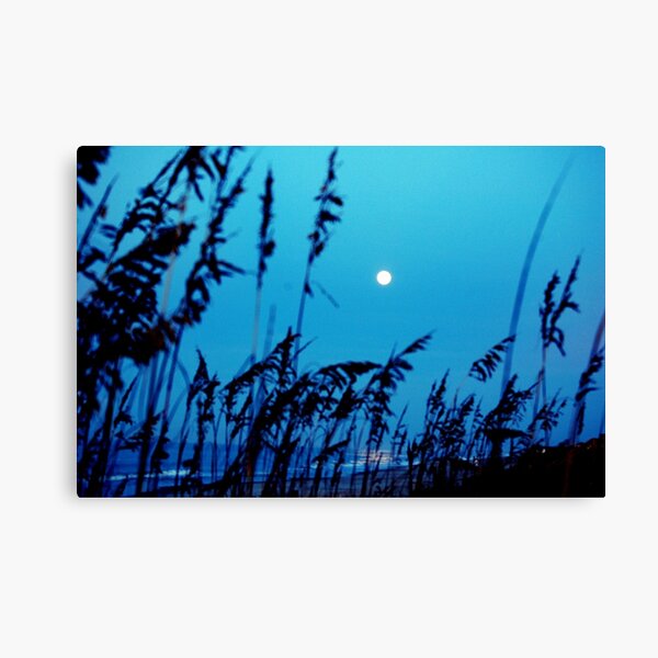 Moon In South Carolina Canvas Print