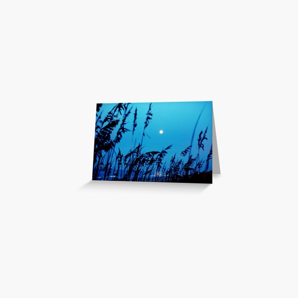 Item preview, Moon In South Carolina designed and sold by SYMRVisualArts.