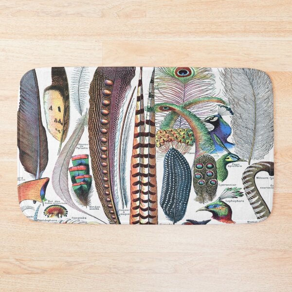 Item preview, Adolphe Millot Plumes - Vintage Bird Feathers Identification designed and sold by molamode.