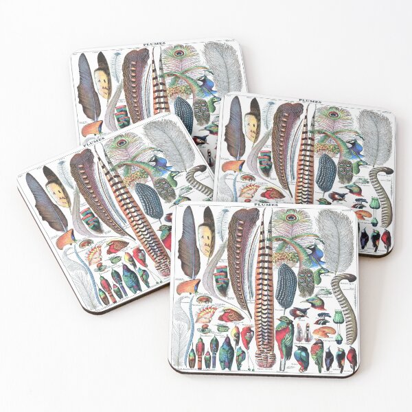 Item preview, Adolphe Millot Plumes - Vintage Bird Feathers Identification designed and sold by molamode.