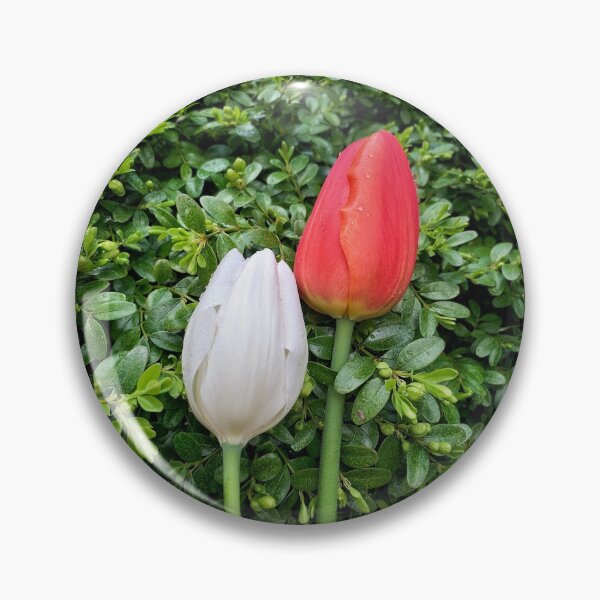 Item preview, Pair of Red & White Tulips! designed and sold by ExploreOutdoors.