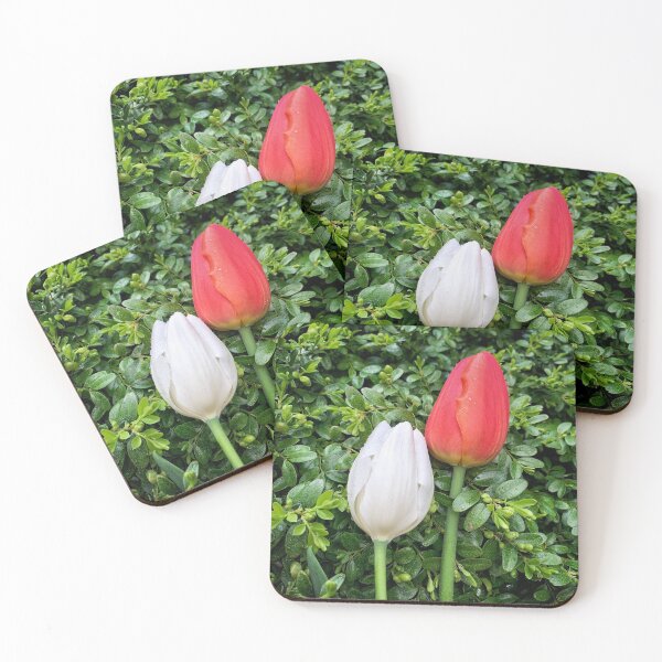 Item preview, Pair of Red & White Tulips! designed and sold by ExploreOutdoors.