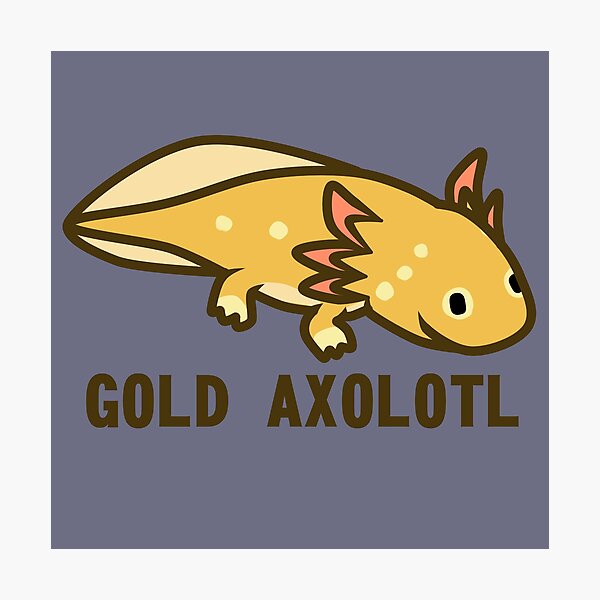 Item preview, Gold axolotl designed and sold by IMPULSEimpact.