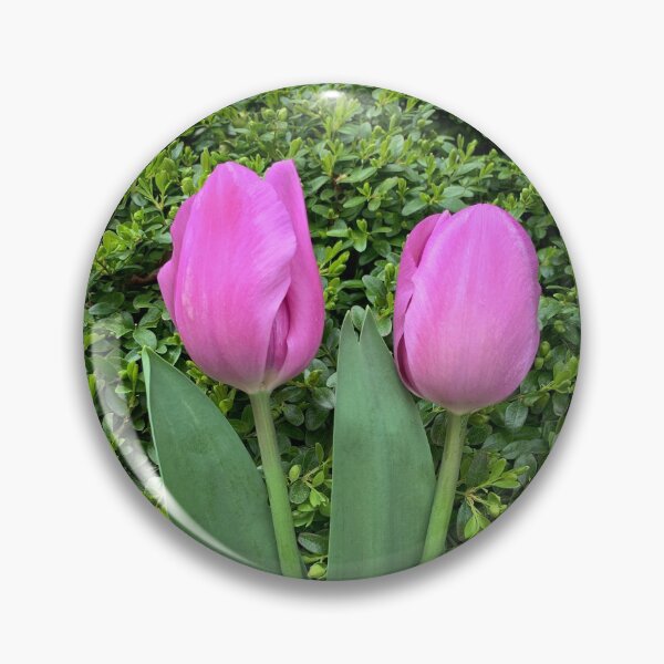 Item preview, Pair of Pink/Purple Tulips! designed and sold by ExploreOutdoors.