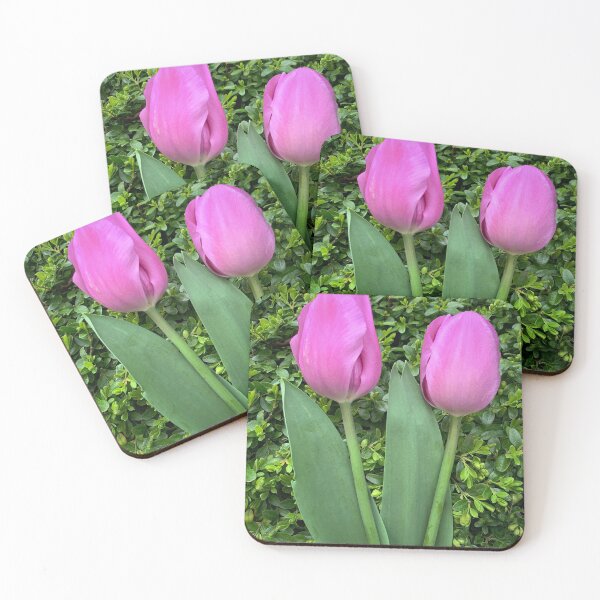 Aperçu de l'œuvre Paire de tulipes roses/violettes ! créée et vendue par ExploreOutdoors.