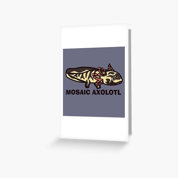 axolotl morphs and colors" Greeting Card by IMPULSEimpact | Redbubble