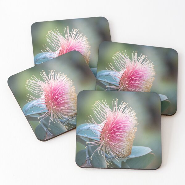 Item preview, Pastel Pink Rosemallee designed and sold by SallyB.Photography.