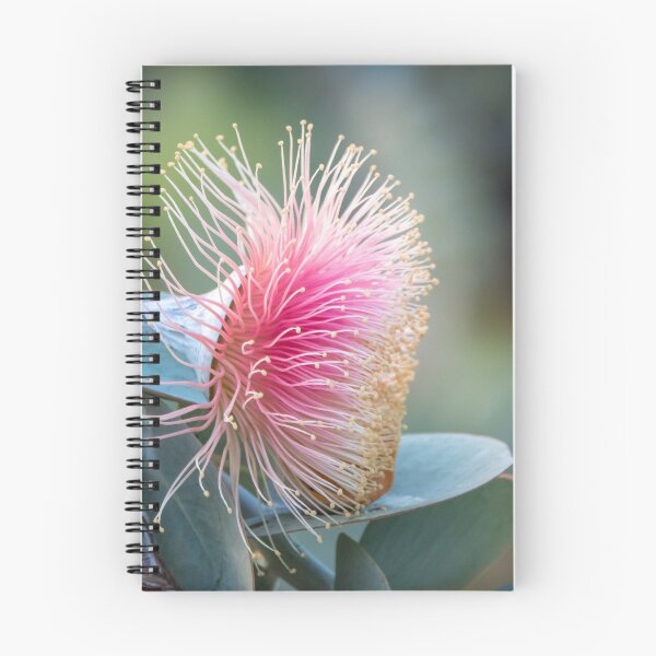Item preview, Pastel Pink Rosemallee designed and sold by SallyB.Photography.