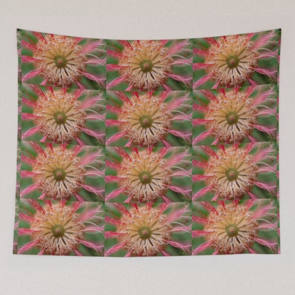 Item preview, Banksia Beauty designed and sold by SallyB.Photography.