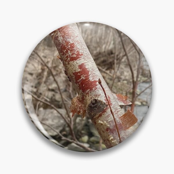Item preview, RIVER BIRCH: Weird Plants designed and sold by Max Kindly.