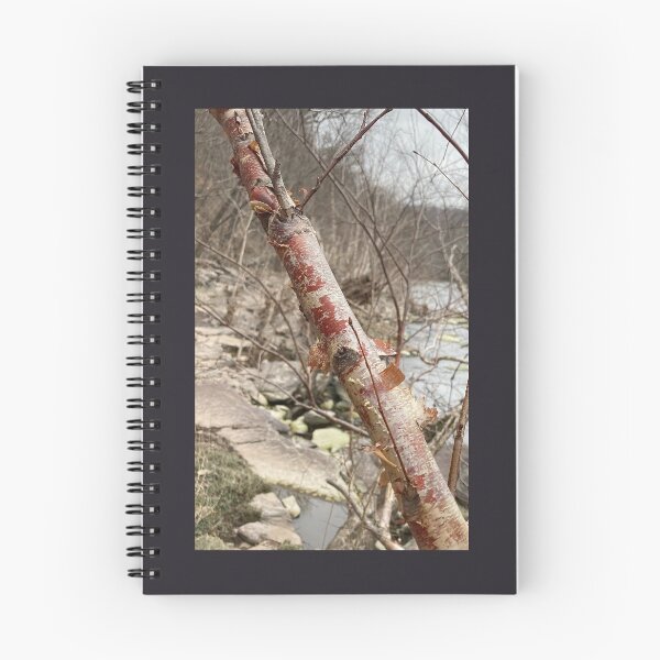 Item preview, RIVER BIRCH: Weird Plants designed and sold by Max Kindly.