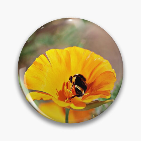 Item preview, The Bee in the California Poppy designed and sold by Martha Sherman.