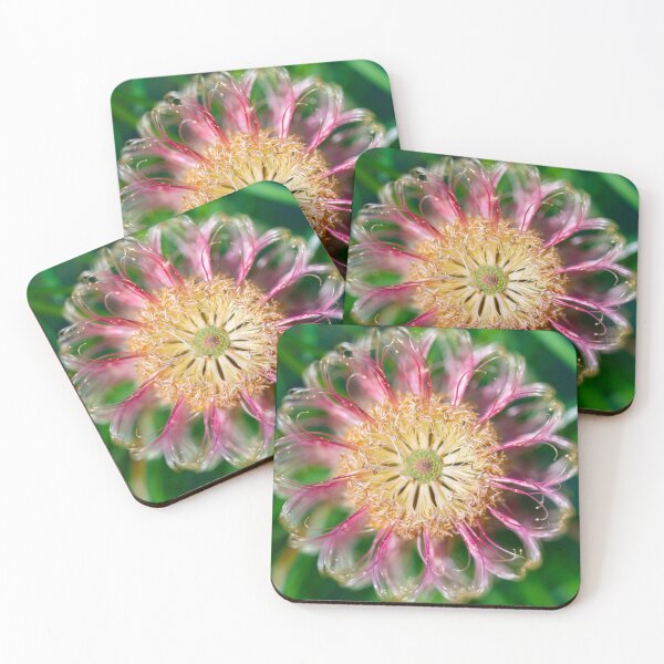 Item preview, Banksia Occidentalis Macro 3 designed and sold by SallyB.Photography.