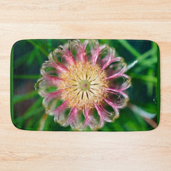 Item preview, Banksia Occidentalis Macro 3 designed and sold by SallyB.Photography.