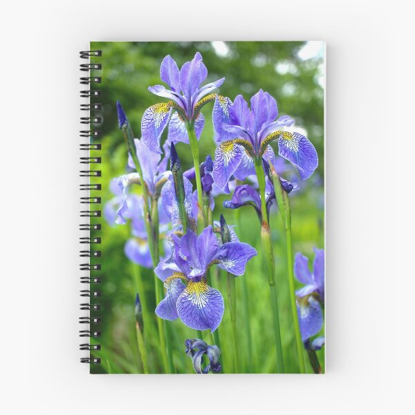 Item preview, Siberian Irises designed and sold by Alisonchambers2.