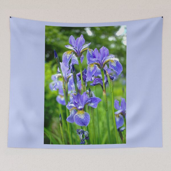 Item preview, Siberian Irises designed and sold by Alisonchambers2.