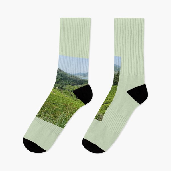Item preview, Panoramic view of terraced green tea fields in Boseong wide field, Jeollanam-do. korea. designed and sold by human8891.