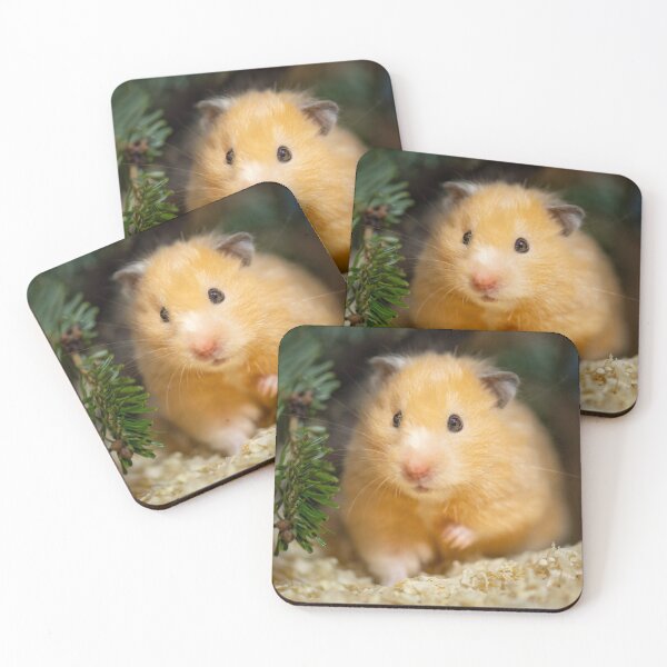 Item preview, Hamster close-up designed and sold by TBB1897.