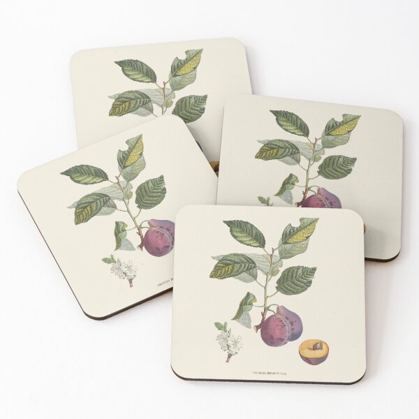 Item preview, European Plum Antique Botanical Illustration designed and sold by Antiquated Art.