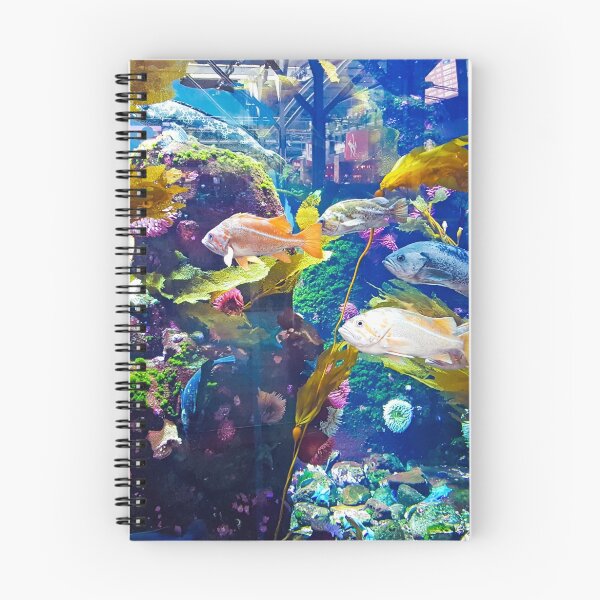 Artikelvorschau, Aquarium bei YVR entworfen und verkauft von Lesliebc.