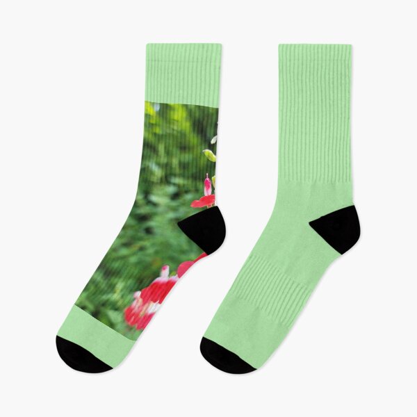 Item preview, Balsam flower blooming in the garden of a guest house in Boseong, Jeollanam-do. korea designed and sold by human8891.
