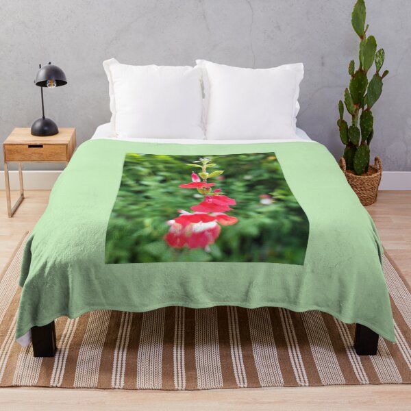 Item preview, Balsam flower blooming in the garden of a guest house in Boseong, Jeollanam-do. korea designed and sold by human8891.
