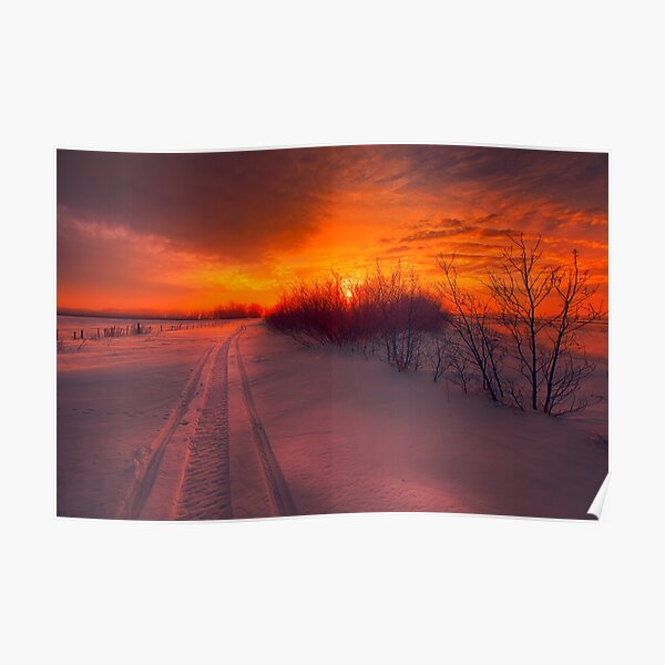 Path to Beautiful Poster