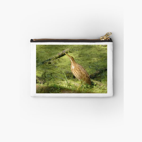Item preview, American Bittern designed and sold by Heather Pickard.