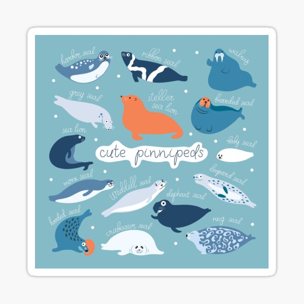 Item preview, Cute seals designed and sold by olofancy.