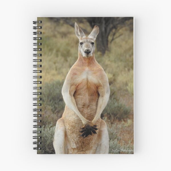 Item preview, Male Red Kangaroo designed and sold by JayCeePhoto.