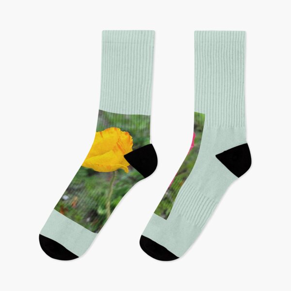 Item preview, Wildflowers blooming in Boseong tea house yard in Boseong, Jeollanam-do. korea designed and sold by human8891.
