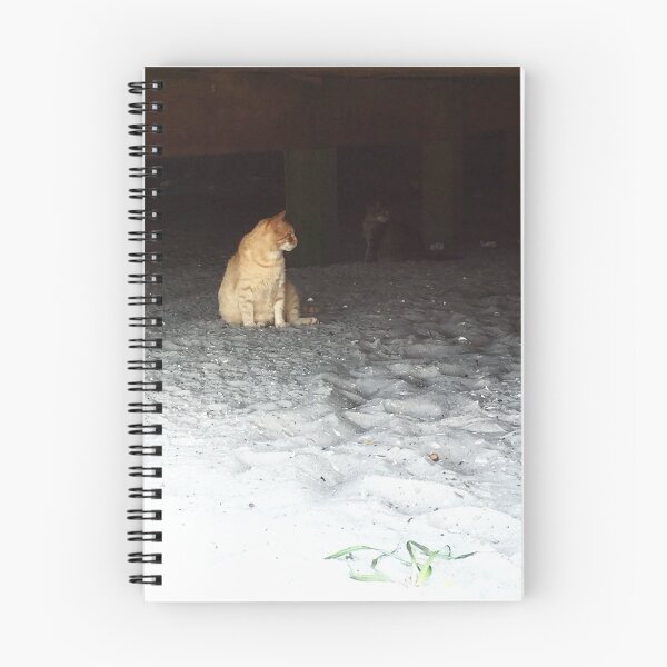 Item preview, gatos bajo el paseo marítimo designed and sold by alphaproduction.