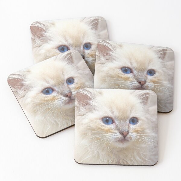 Item preview, Saoirse the ragdoll kitten designed and sold by Fluffycat2020.