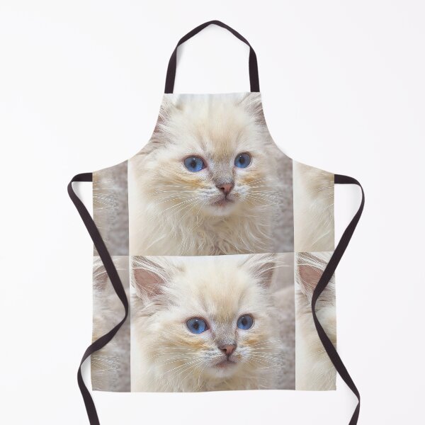 Item preview, Saoirse the ragdoll kitten designed and sold by Fluffycat2020.